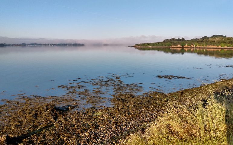 Une visite purement culturelle à Morbihan