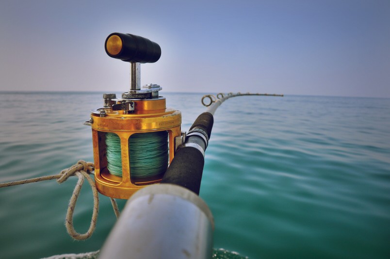 Canne à Pêche à la Ligne